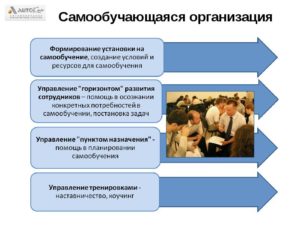 Самообучающаяся компания: реальная эффективность или недостижимый идеал?