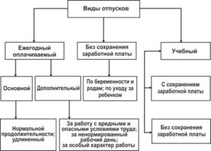 Виды eжегодных оплачиваемых отпусков