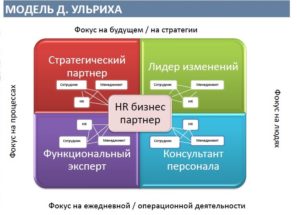 Связующая роль HR