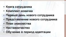 Все в системе: адаптация новичков