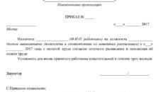 Приказ о назначении представителей от работодателя