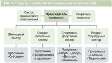 Социальная политика ИДЦ: новые горизонты